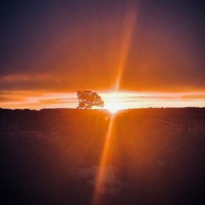 Meet your Posher, Damon